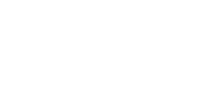 Logo web